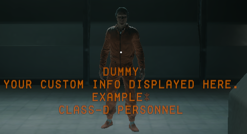Custom Info